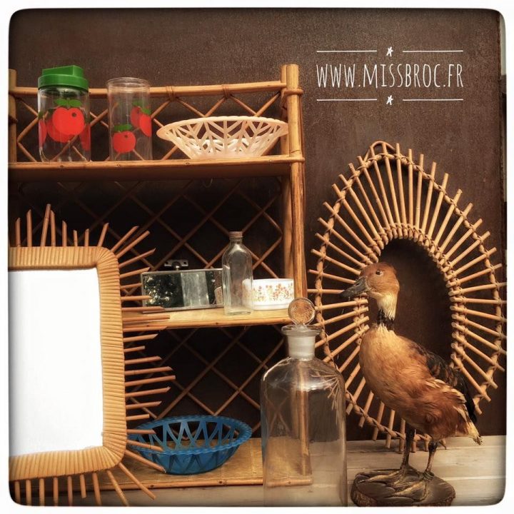 Miroir Rotin, Etagère Rotin, Canard Empaillé, Rétroviseur concernant Pot De Chambre Camping
