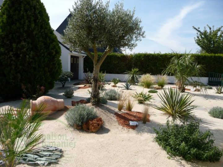 Modeles De Petits Parterre Exotiques – Recherche Google serapportantà Exemple D Aménagement De Jardin