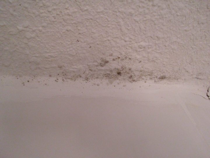 Moisissure Sur Le Plafond De Votre Salle De Bain ! – Maman dedans Moisissures Salle De Bain