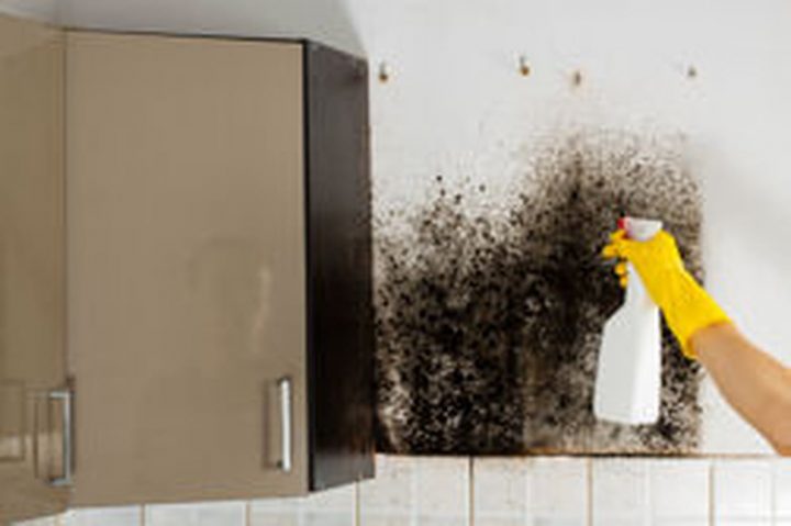 Moisissure Sur Un Mur : Causes Et Traitements pour Moisissures Salle De Bain