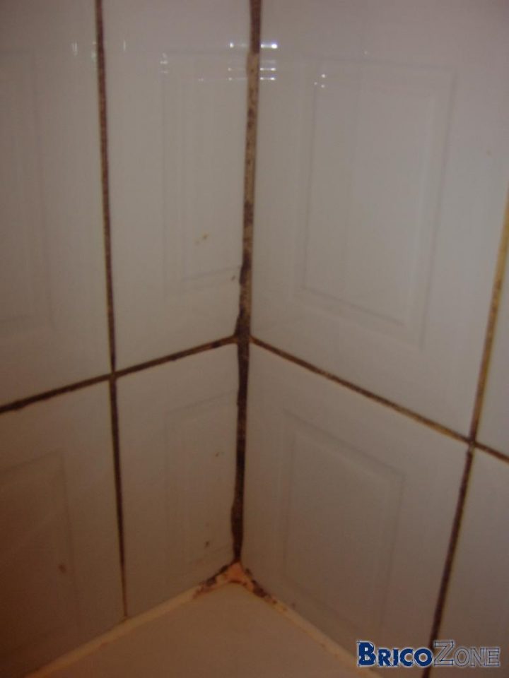 Moisussure Sur Joints De Carrelage De Salle De Bain pour Nettoyer Joint De Douche Moisussure Sur Joints De Carrelage De Salle De Bain pour Nettoyer Joint De Douche