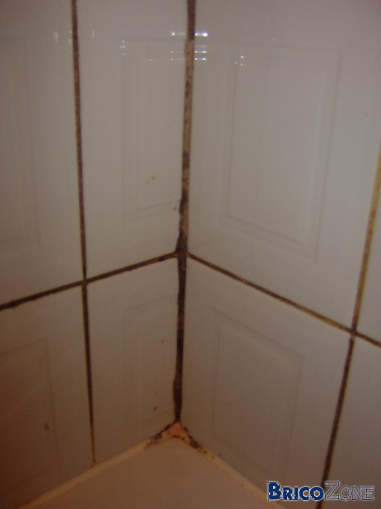 Moisussure Sur Joints De Carrelage De Salle De Bain tout Nettoyer Moisissure Douche