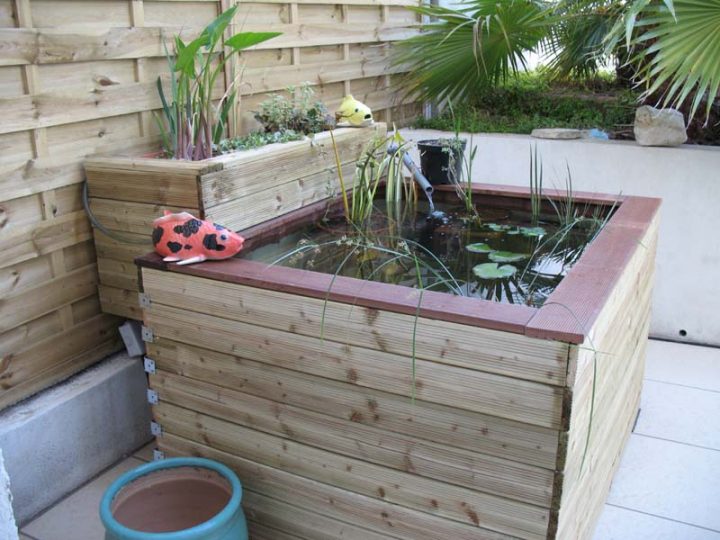 Nature Bassin – La Mare Et Le Bassin De Jardin Naturel pour Bassin De Jardin Hors Sol