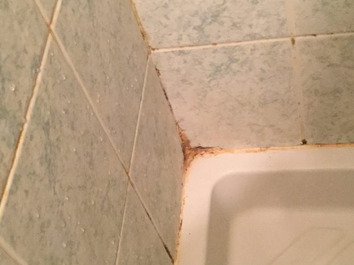 Nettoyage Douche [Résolu] – Journal Des Femmes intérieur Nettoyer Des Joints De Douche