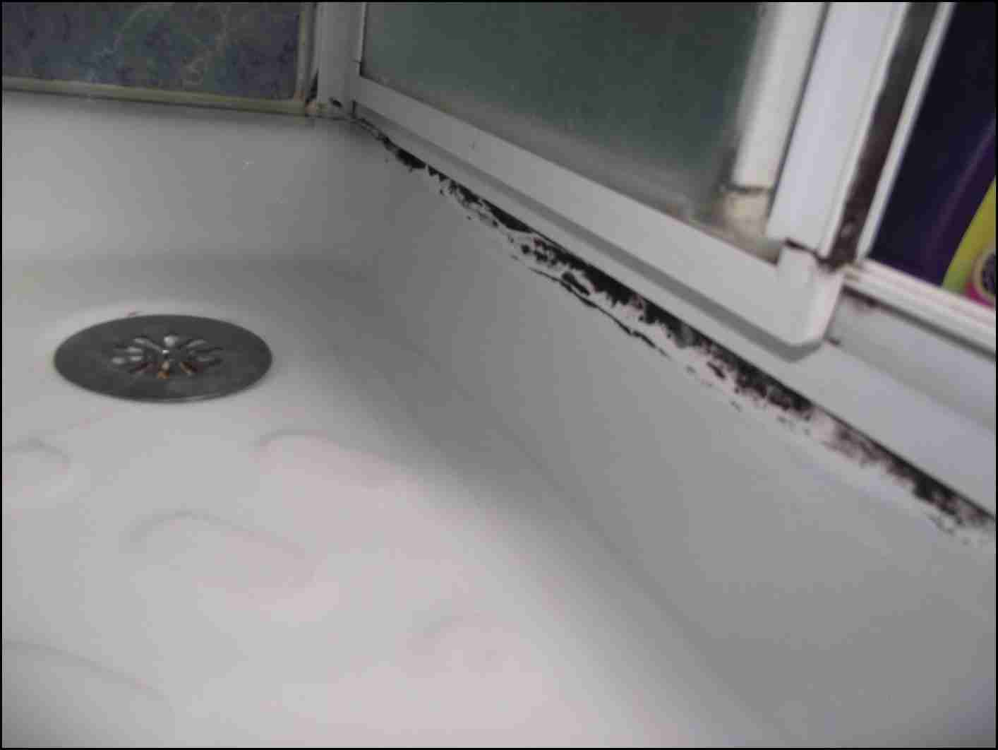 Nettoyer Moisissure Douche - Home Idea tout Nettoyer Moisissure Douche