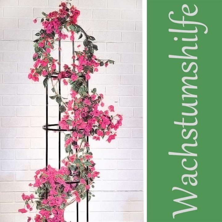 Obléisque Tuteur Plantes Grimpantes Rosiers Arcade Pour intérieur Arceau De Jardin Obléisque Tuteur Plantes Grimpantes Rosiers Arcade Pour intérieur Arceau De Jardin