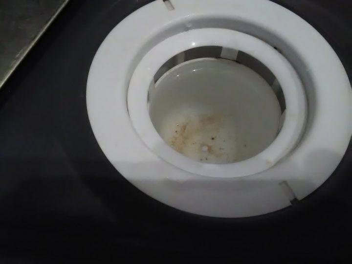 Odeur D'egouts Sur Receveur De Douche Extra Plat [Résolu encequiconcerne Syphon De Douche