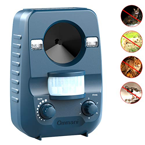 Ommani Répulsif Chat Ultrason Solaire Pour Éloigner Les avec Repulsif Chat Jardin Ommani Répulsif Chat Ultrason Solaire Pour Éloigner Les avec Repulsif Chat Jardin