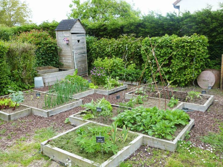 On Verra Au Jardin: Juin 2013 destiné Ecorces Jardin On Verra Au Jardin: Juin 2013 destiné Ecorces Jardin