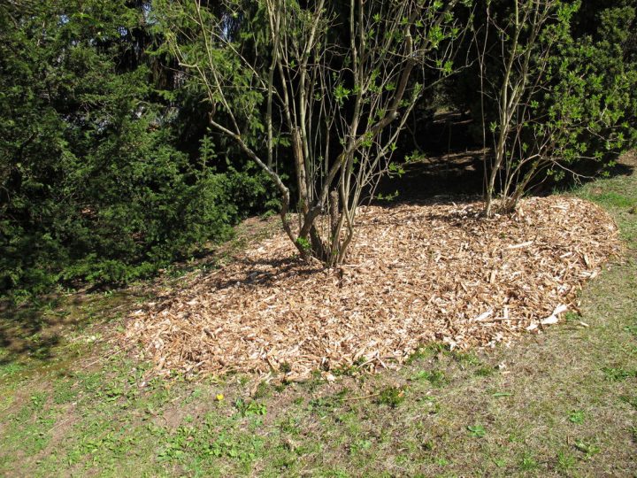 Paillage Au Bois : Caractéristiques Et Prix – Ooreka avec Copeaux De Bois Pour Jardin