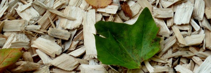 Pailler, Pourquoi ? Comment ? | Paillage Potager, Copeaux serapportantà Copeaux De Bois Pour Jardin