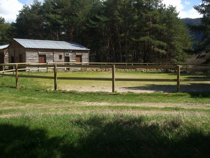 Panneau Pvc Exterieur Meilleur De Grillage En Bois intérieur Panneau Pvc Jardin