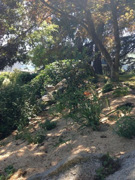 Parcs Et Jardins – Ville De Lourdes avec Les Jardins De Lourdes Parcs Et Jardins – Ville De Lourdes avec Les Jardins De Lourdes