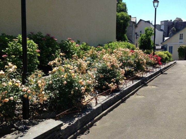 Parcs Et Jardins – Ville De Lourdes dedans Les Jardins De Lourdes Parcs Et Jardins – Ville De Lourdes dedans Les Jardins De Lourdes