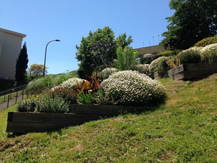 Parcs Et Jardins – Ville De Lourdes tout Les Jardins De Lourdes Parcs Et Jardins – Ville De Lourdes tout Les Jardins De Lourdes