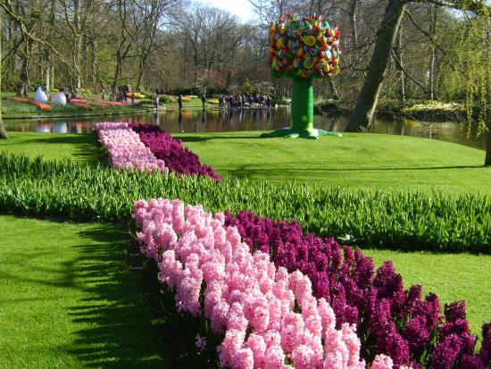 Parque Keukenhof, Lisse, Holanda. – Picture Of Keukenhof concernant Jardin De Keukenhof