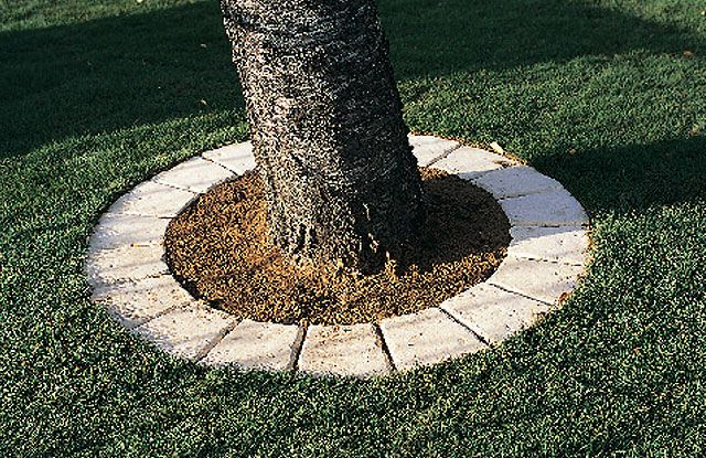 Pavé Tour D'Arbre Cloître Sienne | Decoration Jardin concernant Bordure De Jardin Castorama