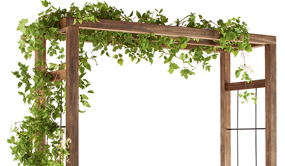 Pergola Bois Ikebana Jardipolys | Jardideco intérieur Arche De Jardin En Bois