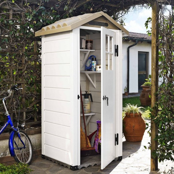 Petit Abri De Jardin Résine Pvc 0,93 M² Ep. 22 Mm Evo 80 1 intérieur Abrie De Jardin Petit Abri De Jardin Résine Pvc 0,93 M² Ep. 22 Mm Evo 80 1 intérieur Abrie De Jardin