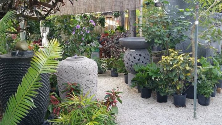 Petit Jardin Zen : 108 Suggestions Pour Choisir Votre avec Decoration Zen Exterieur