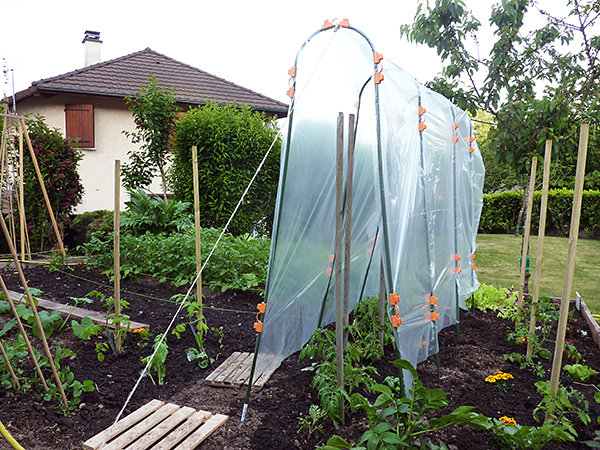 Petite Serre De Jardin Pour Tomate – Mobilier De Jardin Et concernant Petite Serre De Jardin Pas Cher Petite Serre De Jardin Pour Tomate – Mobilier De Jardin Et concernant Petite Serre De Jardin Pas Cher