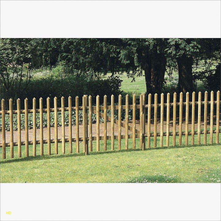 Photo De Cabane De Jardin Brico Depot – Raviraj avec Cabane De Jardin Brico Depot