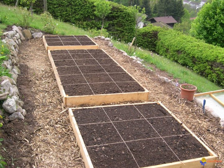 Photo : Pose Des Ficelles Pour Délimiter Les Parcelles intérieur Delimitation Jardin