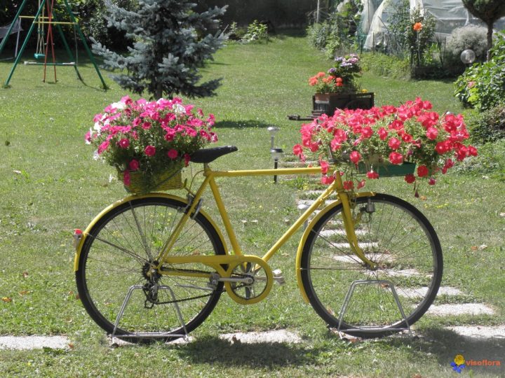 Photo : Velo Fleuri! tout Velo Deco Jardin