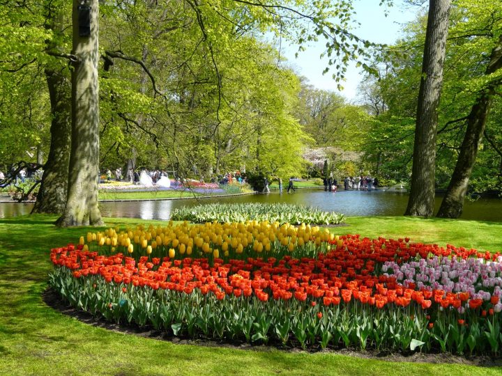Pinceladas Actuales: Keukenhof, El Parque Floral Mas Visitado intérieur Jardin De Keukenhof