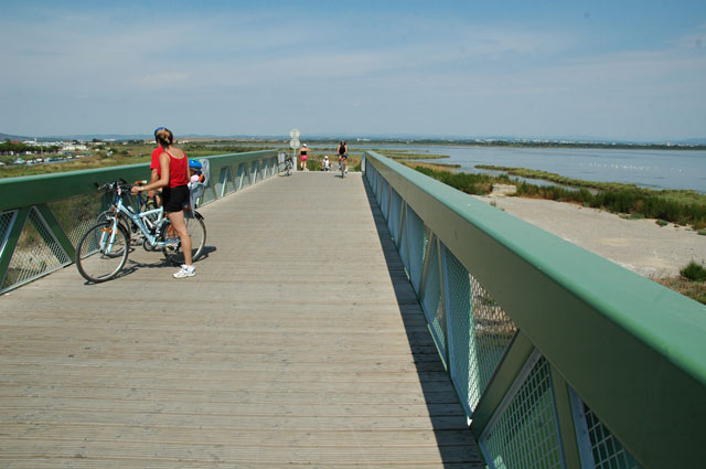 Pistes Cyclables Montpellier Palavas – 1Jour1Col serapportantà Alinea Montpellier