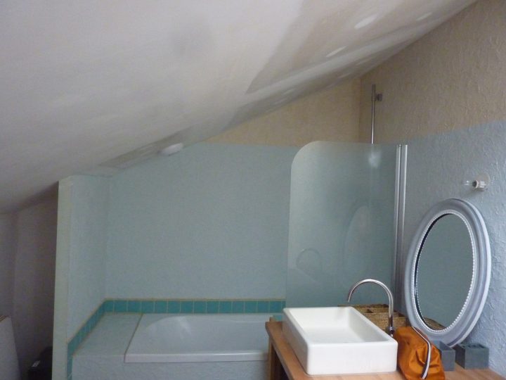 Placo Gris Dans Salle De Bain : Je Le Garde Ou Je L'enlève ? destiné Placo Hydrofuge Salle De Bain