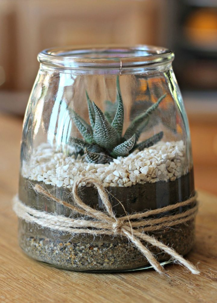 Plantation De Succulente : Diy Végétal & Cadeau Gourmand tout Idée Cadeau Jardin Plantation De Succulente : Diy Végétal & Cadeau Gourmand tout Idée Cadeau Jardin