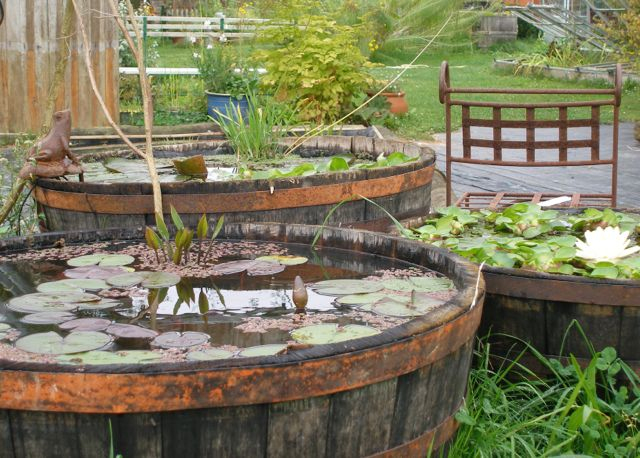 Pompe Bassin Hors Sol à Bassin De Jardin Hors Sol Pompe Bassin Hors Sol à Bassin De Jardin Hors Sol