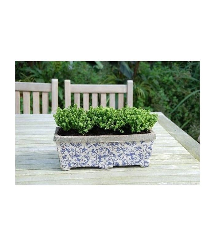 Porte Outils De Jardin Mural En Bois | Jardinières En destiné Porte Outils De Jardin Porte Outils De Jardin Mural En Bois | Jardinières En destiné Porte Outils De Jardin