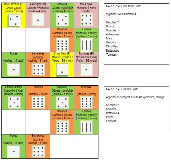 Potager Au Carré (Création, Organisation, Rotation serapportantà Organisation Potager