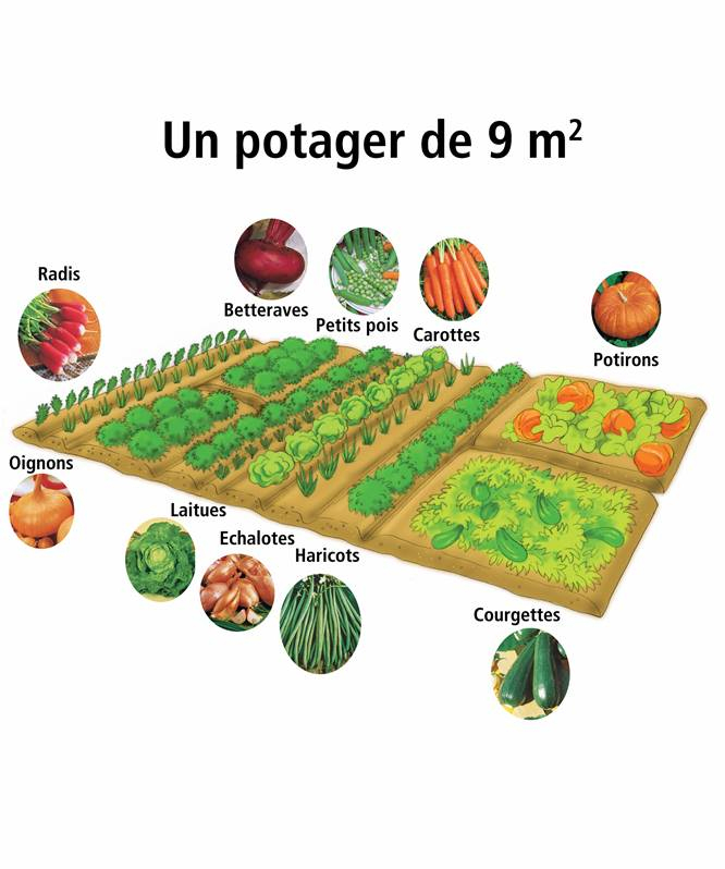 Potager De 9 M² – Graines De Légumes À Semer Et À Cultiver tout Organisation Potager