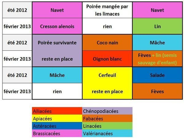 Potager En Carré – J'Ai Une Souris Dans Le Compost encequiconcerne Organisation Potager
