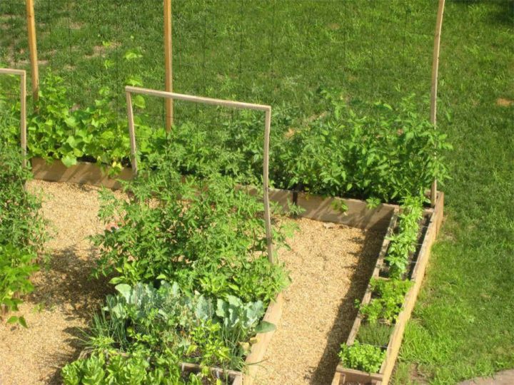 Potager : Idée D'Aménagement | Amenagement Jardin, Potager à Aménagement Potager Idées