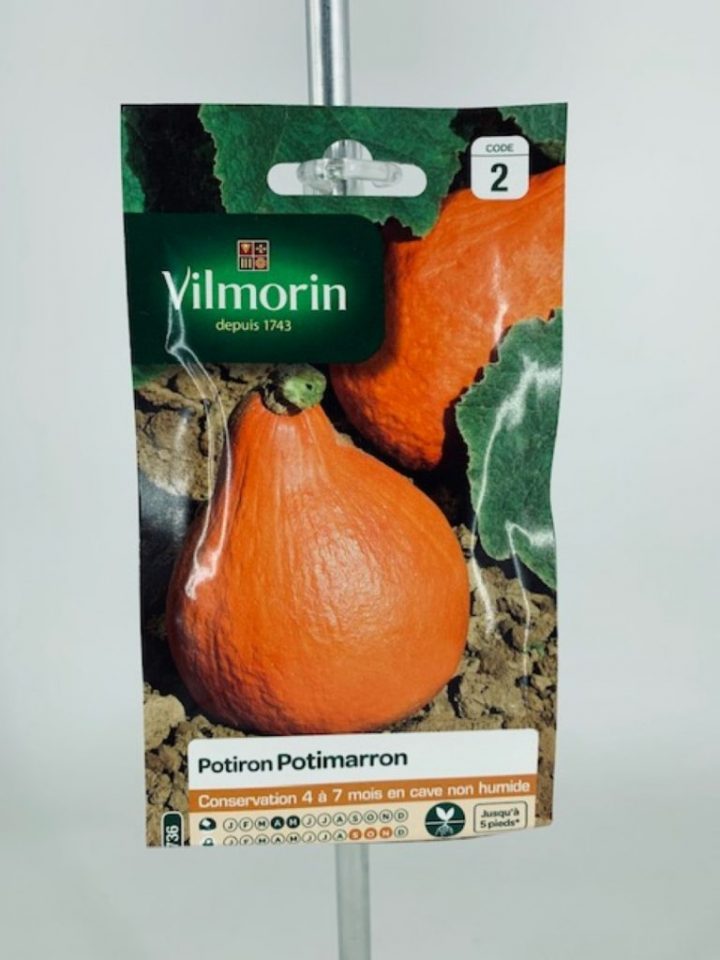 Potiron Potimarron – Graines Vimorin à Potiron Meuble Potiron Potimarron – Graines Vimorin à Potiron Meuble