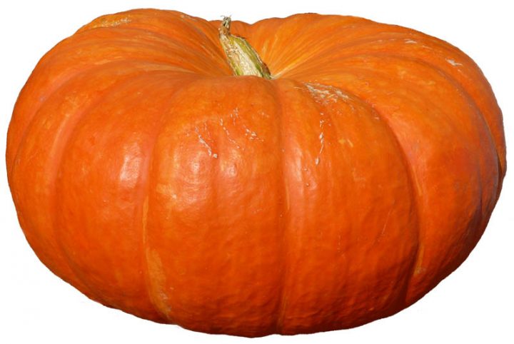 Potiron » Vacances – Arts- Guides Voyages encequiconcerne Potiron Meubles