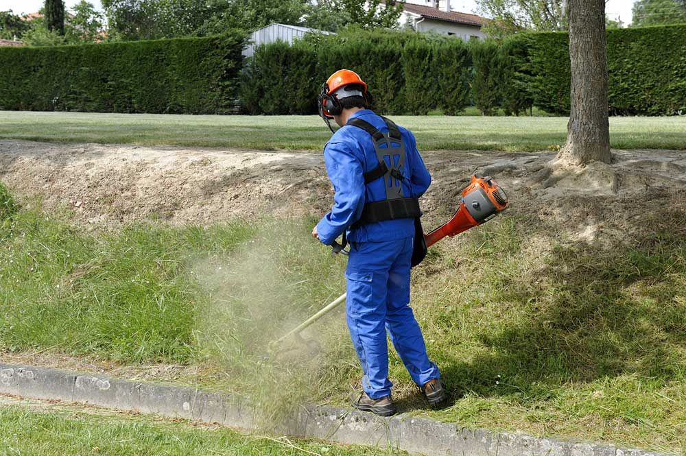 Prix D'Un Débroussaillage De Jardin | Débroussaillage intérieur Tarif