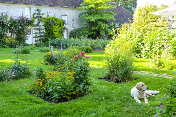 Promenade Bucolique Dans Un Jardin Du Vexin – Détente Jardin serapportantà Idée De Génie Jardin