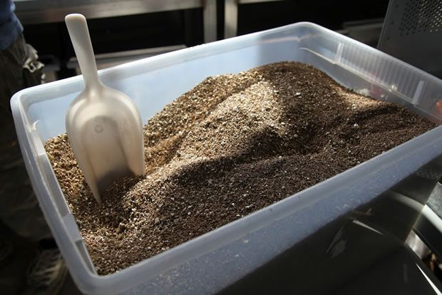 Propagación De La Hortensia Por Esquejes | Hortensias tout Vermiculite Jardin