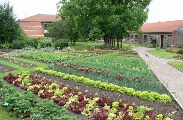 Quelle Quantité De Légumes Planter Pour Une Famille De 4 destiné Organisation Potager