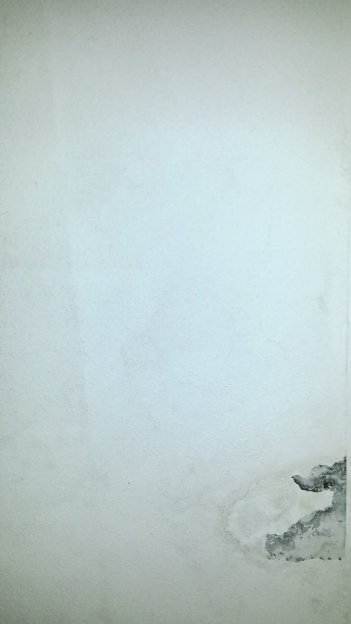 Repeindre Plafond Salle De Bain Avec Problème D'humidité à Moisissure Plafond Salle De Bain