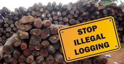 #Reporting #Rse | Déclaration Et Simple dedans Déclaration Meublé