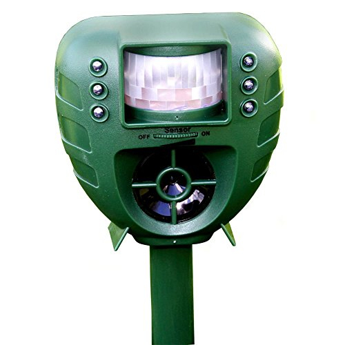 Repousse Nuisibles – A Piles – Chasse: Rongeurs, Chiens destiné Repousse Chat Jardin Repousse Nuisibles – A Piles – Chasse: Rongeurs, Chiens destiné Repousse Chat Jardin