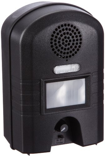 Repulsif Chat Dans Le Jardin | Répulsifs avec Repulsif Chat Jardin Repulsif Chat Dans Le Jardin | Répulsifs avec Repulsif Chat Jardin