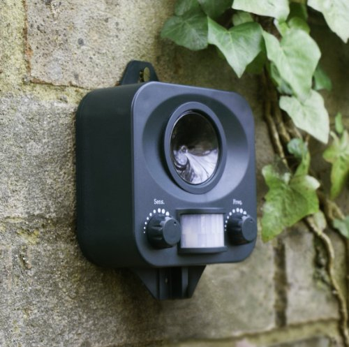 Repulsif Chat Dans Le Jardin | Répulsifs destiné Repulsif Chat Jardin Repulsif Chat Dans Le Jardin | Répulsifs destiné Repulsif Chat Jardin