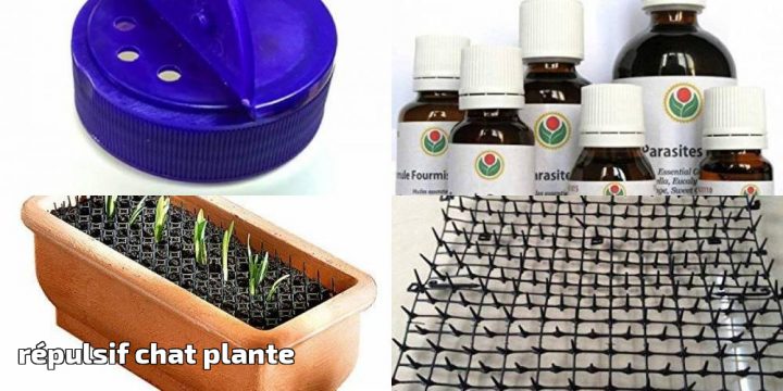 Répulsif Chat Plante Votre Top 10 Pour 2020 | Protection concernant Repulsif Chat Jardin Répulsif Chat Plante Votre Top 10 Pour 2020 | Protection concernant Repulsif Chat Jardin